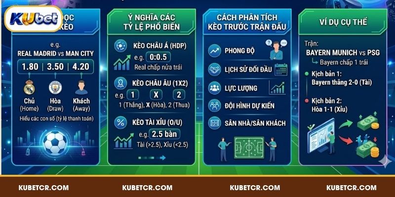 Cách đọc tỷ lệ kèo Champions League chi tiết, đơn giản