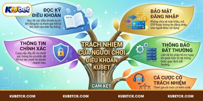 Trách nhiệm của người chơi trong điều khoản điều kiện KUBET